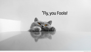 Quotes about cats and cats wallpapers