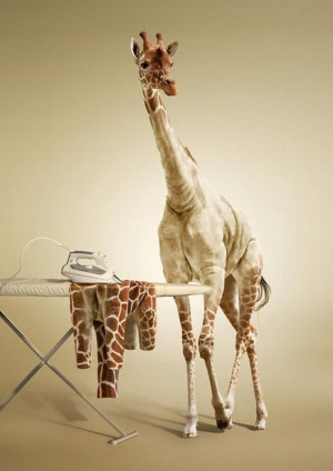 Funny Crazy Giraffe Joke Pictures - Ironing