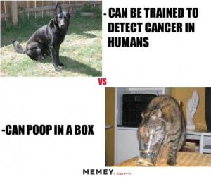 Dogs Can Detect Cancer
