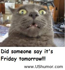 Tomorrow Is Friday Funny Quotes