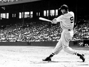 ted williams