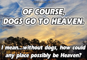 Dogs Heaven Quote Doggy...