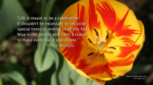 Celebration Of Life Quotes