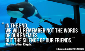 Whale at Marine Park and Martin Luther King Jr. Quote
