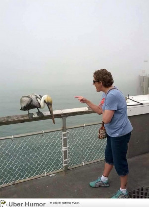 My Grandma got bit by a Pelican on the pier and then began to scold it ...