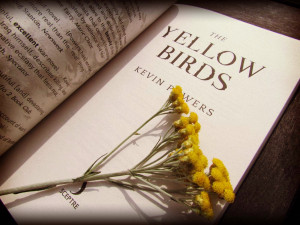 bookandacuppa, book and a cuppa, book & a cuppa, The Yellow Birds ...