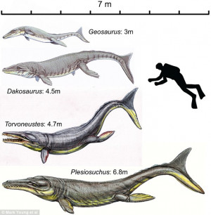 To scale: The team has researched four giant crocodiles which lived in ...