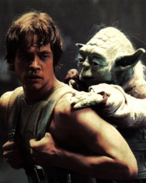 Dolphins Into The Future ( Luke Skywalker )