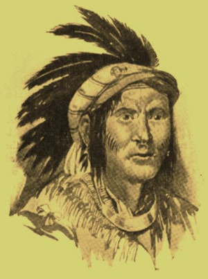 These are the american indian series texaslady blog Pictures