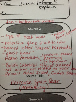 ... spirit bears. I recorded those ideas on the graphic organizer below