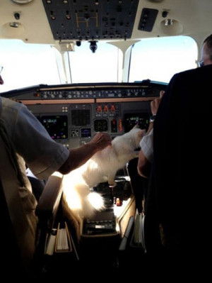 Choupette Lagerfeld - 80 jaar Karl Lagerfeld: Karl ♥ Choupette