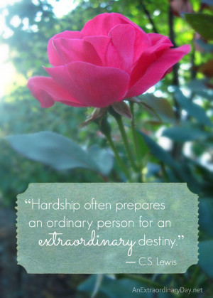 Lewis Quote…An Extraordinary Destiny :: The Week at a Glance 7 ...