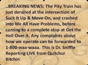 The Pity Train Goes No Where Fast! Better to take a Cruise to Success!