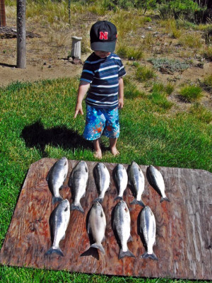 Re: 2011 Annual Wickip Report Thread