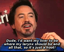 ... are useless most of the time now also: arguably my favorite rdj quote