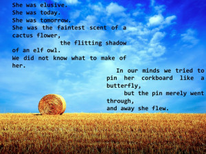 From Stargirl by Jerry Spinelli. I absolutely love this description!