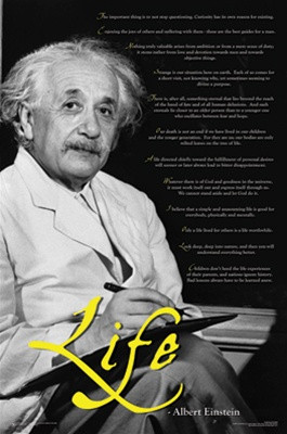 Albert Einstein Life Motivational Quotes Poster