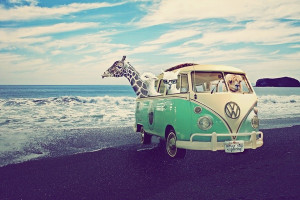 iPad (2nd, 3rd, 4th Gen) iPad Mini iPad 1