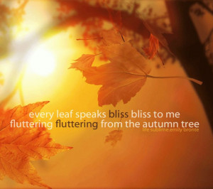 Emily Bronte #fall #autumn #quote