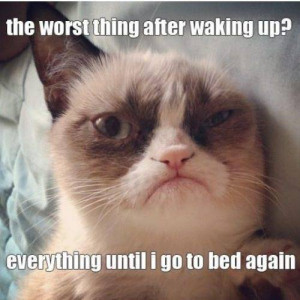Today's quote of the day by Grumpy Cat - Grumpy Cat Picture