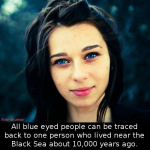 Did You Know That Blue-Eyed People Can All Be Traced Back To ….