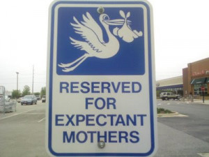 Thread: Happy Birthday to sweet sparrow! - April 7