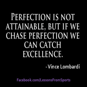 Chasing Perfection Catching Excellence We Chase Perfection , We