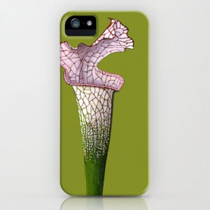 ... Sarracenia Pitcher Plant iPhone & iPod Case by Kate Halpin - $35.00