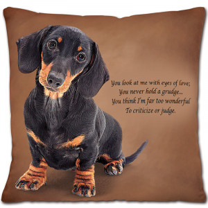 Dachshund Poetic Portraits - Eyes of Love