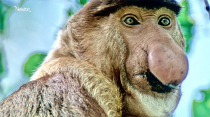 Ugly Animal Pictures Animal Pictures for Kids with Captions to Color ...