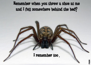 tagged fun funny funny quotes scary sarcasm sarcastic humor spider