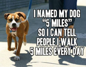 Selection of 28 #Funny #Quotes and #Sayings to Make You Smile