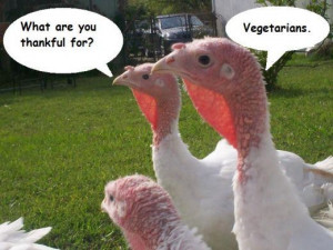 Funny Thanksgiving - Vegetarian Way (2)