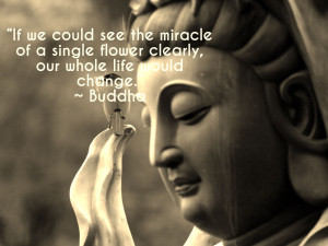 ... of a single flower clearly, our whole life would change.” ~ Buddha