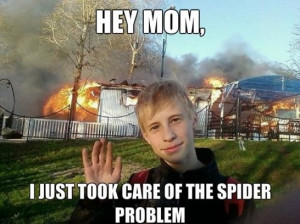 Funny-Pictures-Kill-the-spider-with-fire-.jpg