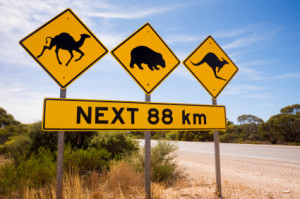 Moving to Australia - In the Spotlight: South Australia