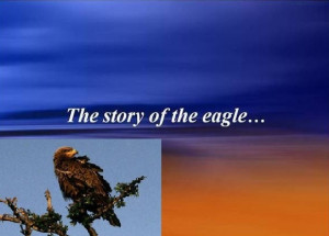 download a power point ppt presentation about the story of the eagle ...