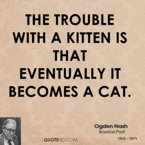Cat Quotes Graphics