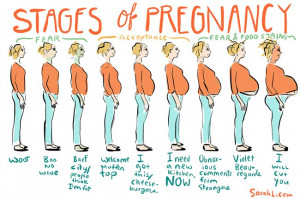 pregnancystages