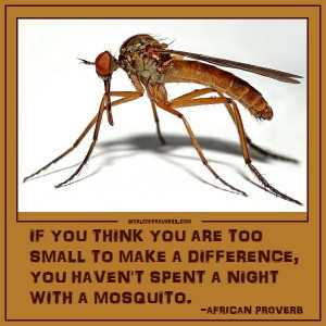 By André Karwath aka Aka (Own work) [CC-BY-SA-2.5 (http ...