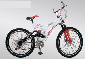 Cool MOUNTAIN BIKE/BICYCLE
