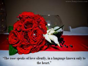 this is very beautiful picture of red flower with love quotes.