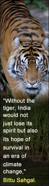 quotes : trade in tiger, sheetah....