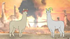 Llamas With Hats Carl Heather - llamas with hats 4.