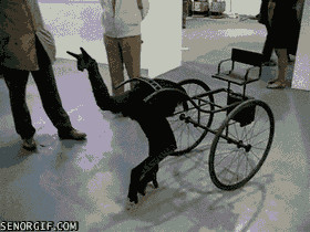 Imagens estranhas da Deep Web