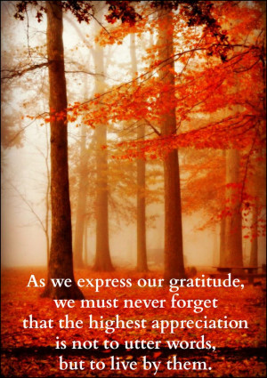 Autumn Gratitude #autumn #quotes