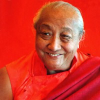 Well Rewarded ~ Dilgo Khyentse Rinpoche