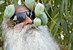 Every Society Needs Individuals Who Go On Planting Mango Trees Without