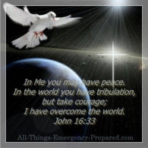 Biblical Inspiration For Troubled Times