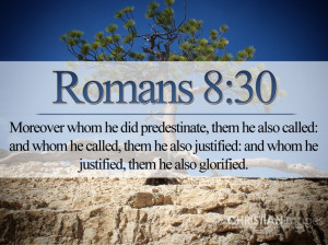 Verses Are In The Holy Bible Trivia Question Questions Answer Answers ...